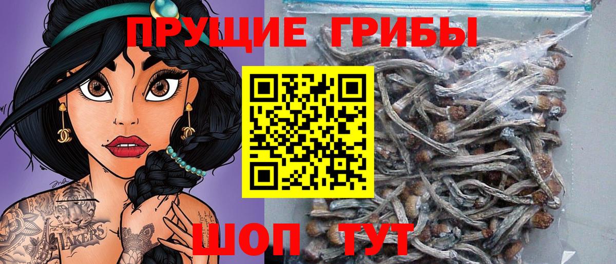 Псилоцибиновые грибы Psilocybe  цена наркотик  Саяногорск  Вход с VPN 