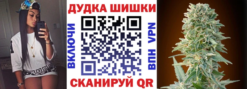 Конопля планчик  где найти наркотики  Саяногорск 